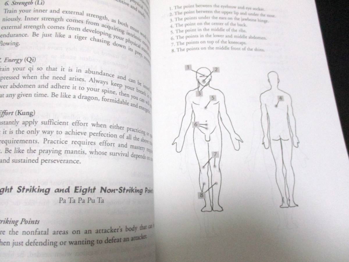 蟷螂拳完全ガイドブック【新品 １８４㌻】◇螳螂拳　中国武術カンフー格闘技カマキリ拳法 太極拳詠春拳wingchunブルースリーPraying Mantis_画像5
