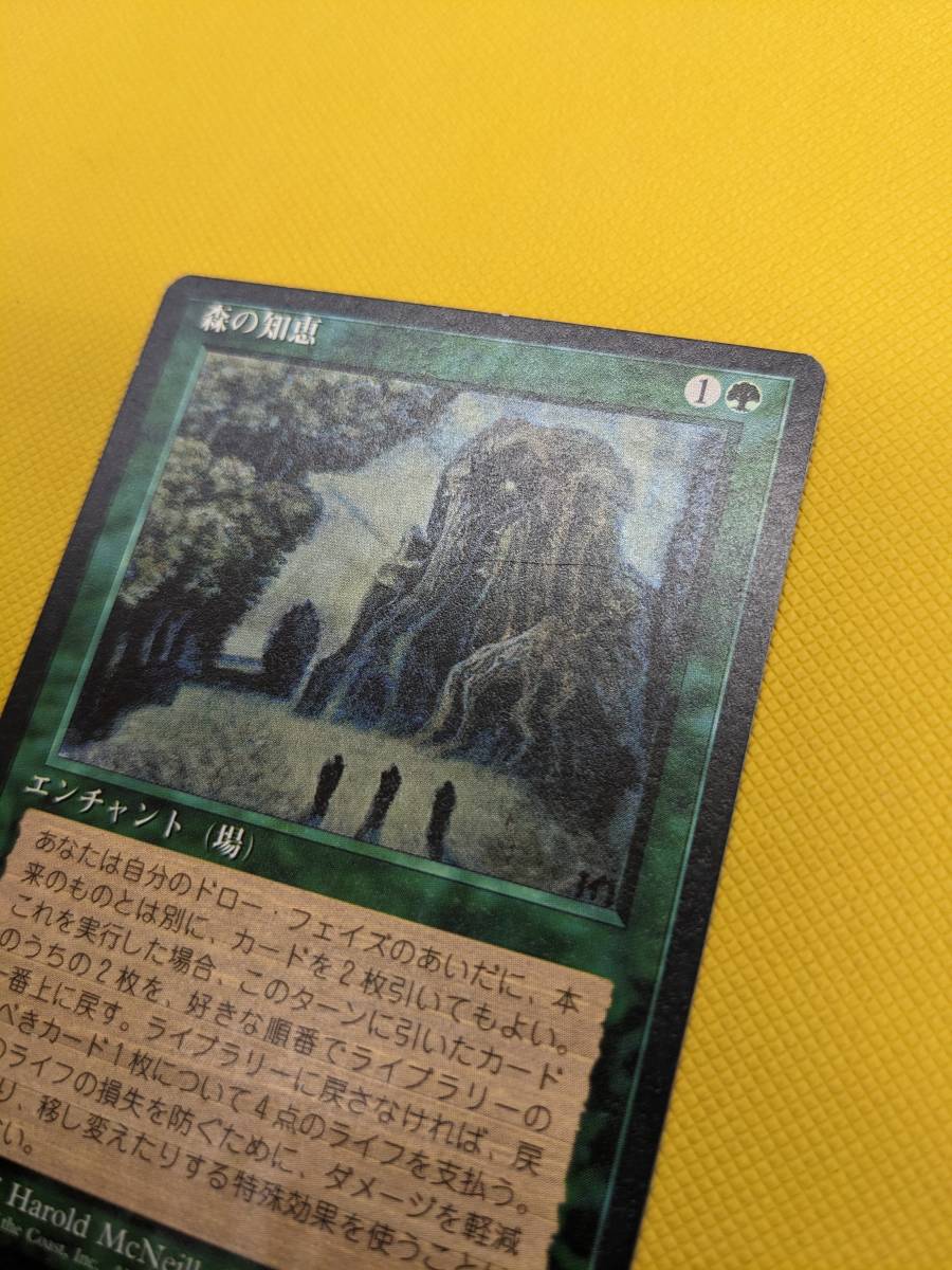 MTG 森の知恵 Sylvan Library 日本語版_画像3