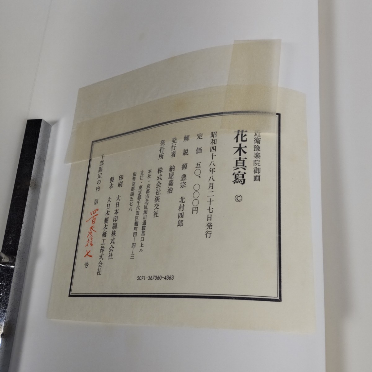 【限定1000部】近衛豫楽院御画 花木真寫 陽明文庫蔵 近衛家熙 源豊宗 北村四郎 淡交社・外箱付・帙入☆ボタニカルアート 植物画 博物画_画像10