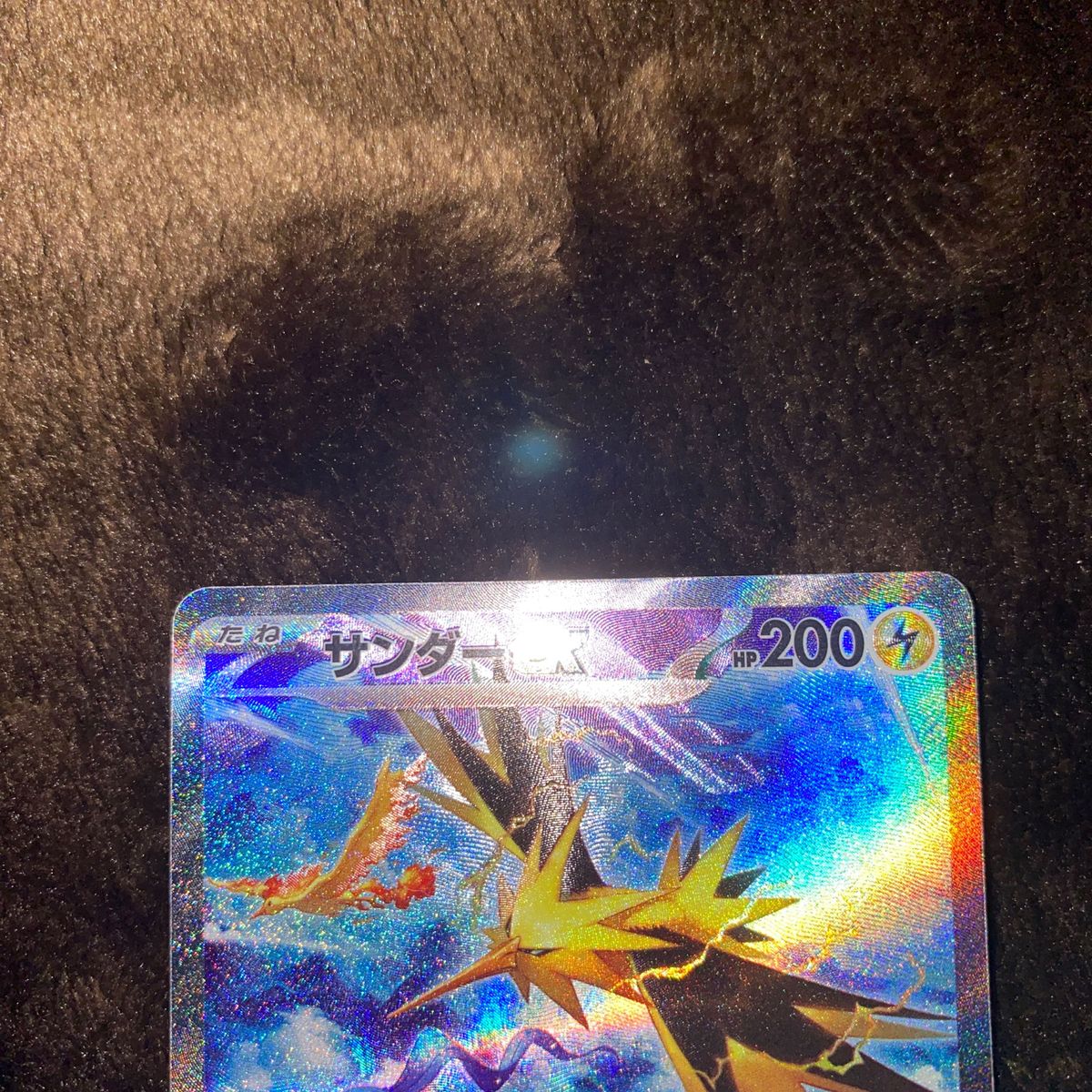 サンダーex SAR ポケモンカード|Yahoo!フリマ(旧PayPayフリマ) サンダーex SAR ポケモンカード|Yahoo!フリマ(旧PayPayフリマ)