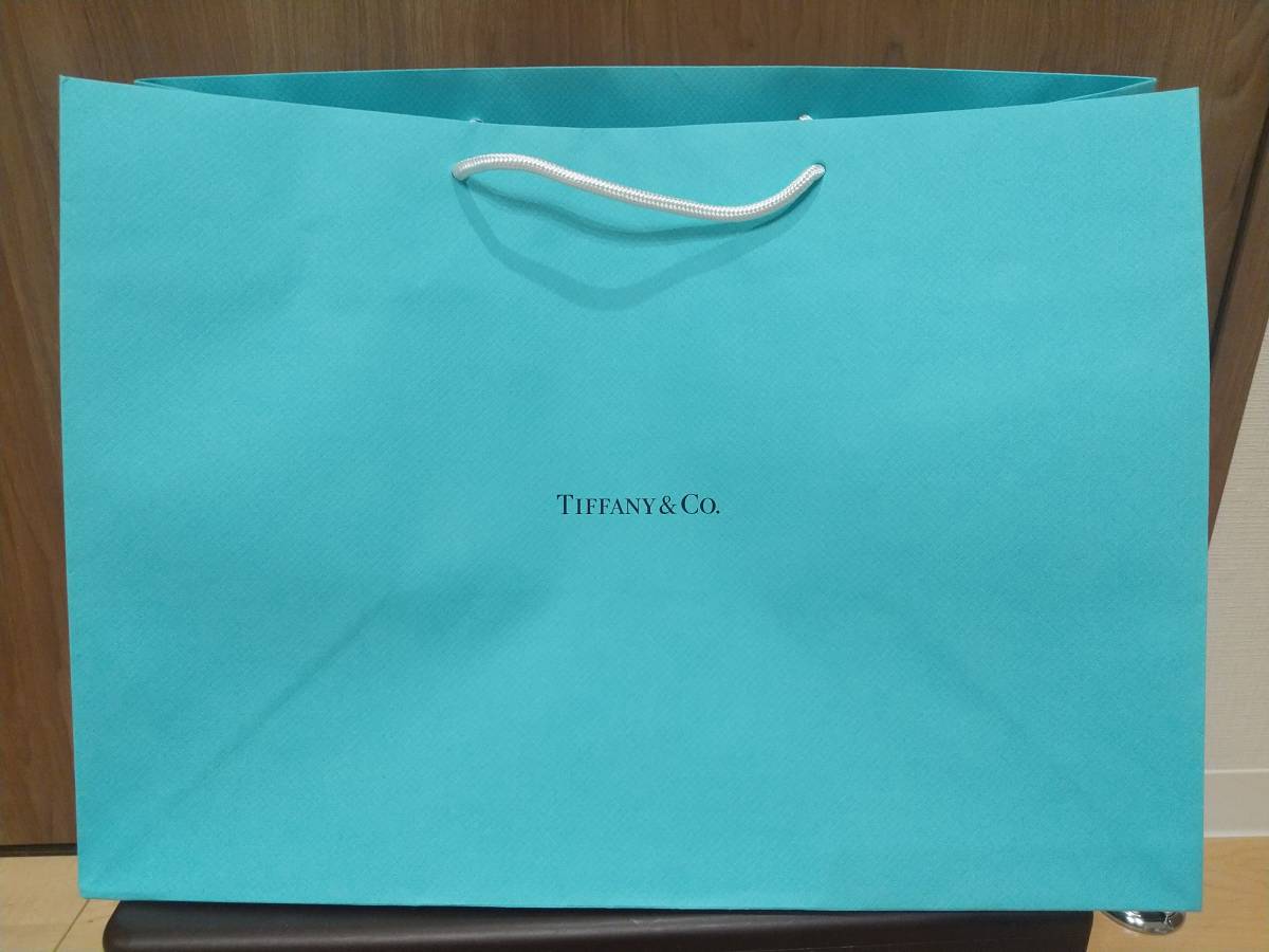 ■超美品!!■TIFFANY & CO. ティファニー■空き箱(貯金箱)■新品!!未使用!! 紙袋■ホワイトリボン■説明書■４点セット■_画像8