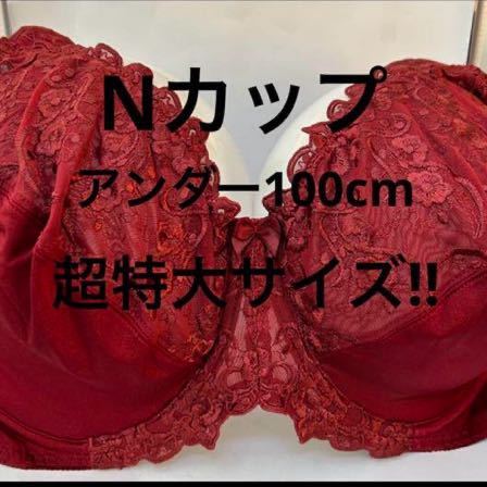 新品未使用タグ付き　Nカップ　アンダー100 ブラジャー　超大きいサイズ　特大サイズ　グラマーサイズ_画像1