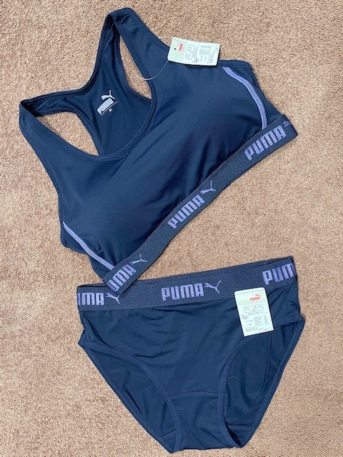 PUMA Puma sports bra shorts set M size . sweat speed .DRY non wire 