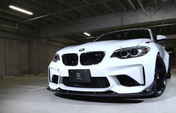 3Dデザイン BMW F87 M2 (1H30G) 2シリーズ フロントリップスポイラー用 カナード(単品) カーボン_画像3