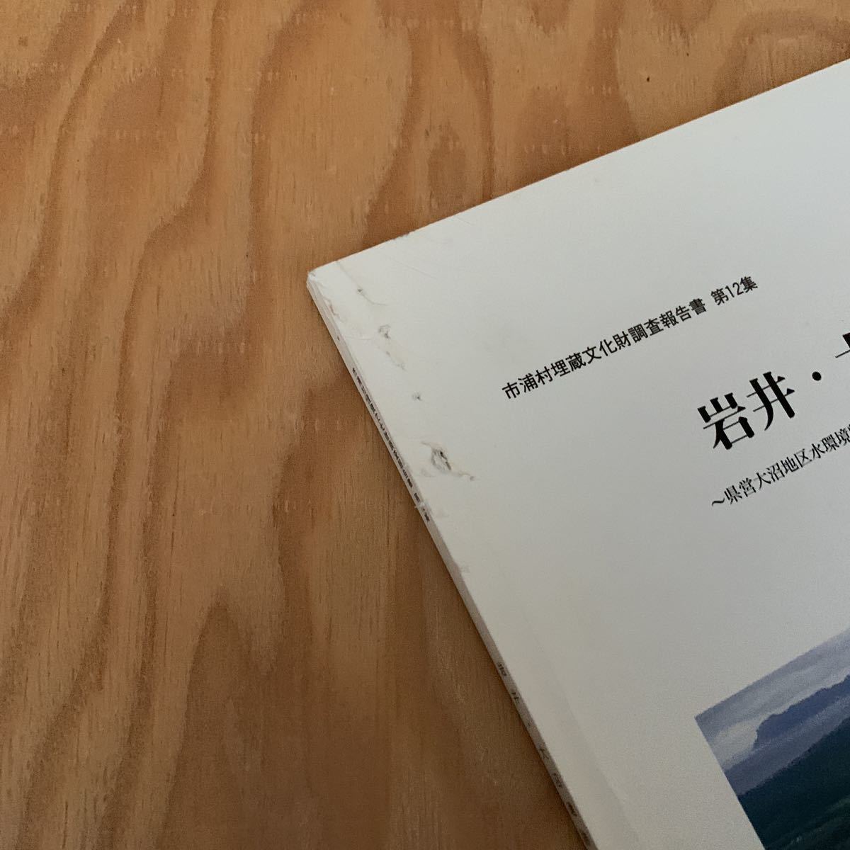 ☆さＡ‐181214レア〔岩井・大沼遺跡　市浦村埋蔵文化財調査報告第12集　県営大沼地区水環境整備事業に伴う埋蔵文化財調査報告〕_画像2