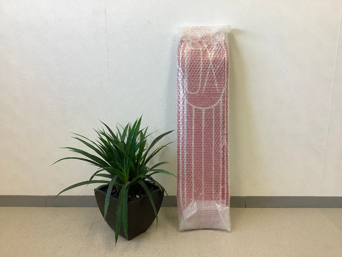未使用品】Mr.Andre Saraiva アンドレ サライヴァ スケート 未使用品】Mr.Andre Saraiva アンドレ サライヴァ スケート