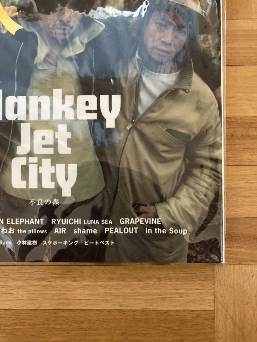 雑誌 音楽と人 Blankey Jet City THE MICHELLE GUN ELEPHANT GRAPEVINE LUNA SEA the pillows スピッツ チバユウスケ vol.77_画像4