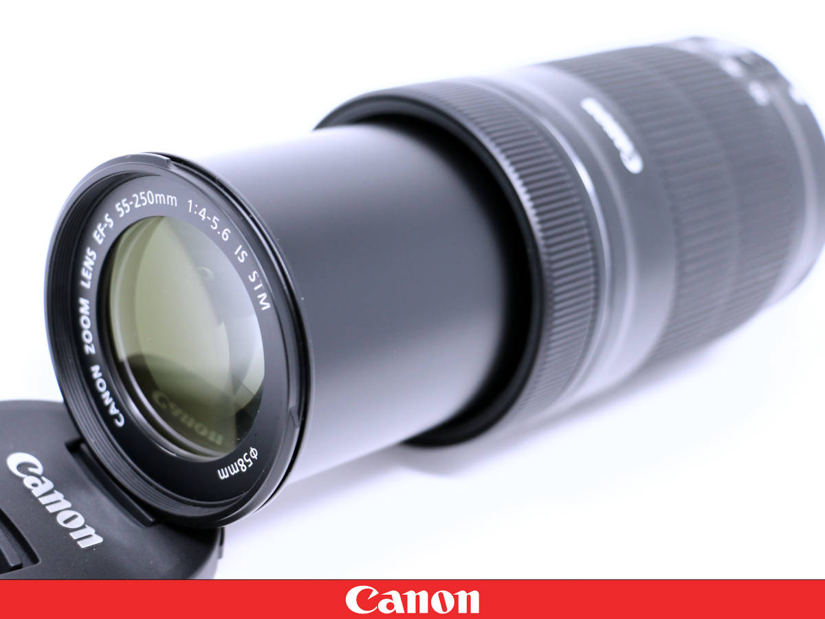 ★極美品★Canon キャノン EF-S55-250mm F4-5.6 IS STM◇元箱 フィルター フード付属☆使用少ない★軽量コンパクト望遠ズームレンズ_画像9