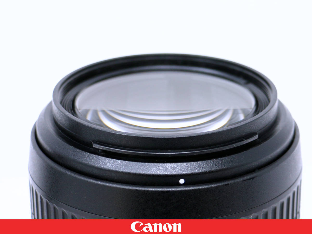 ◇美品◇Canon キャノン用 TAMRON SP 70-300mm F4-5.6 Di VC USD A005★フィルター フード付属★高画質・高機能プレミアム望遠ズームレンズ_画像6