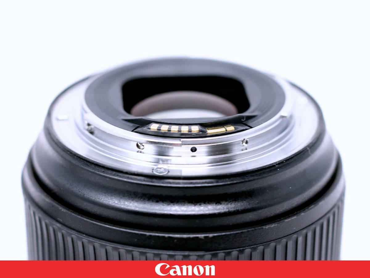 ◇美品◇Canon キャノン EF24-105mm F4L IS Ⅱ 2 USM ◇フィルター フード ポーチ付属★更なる高画質実現Lレンズ◇◆EF24-10540LIS2_画像8