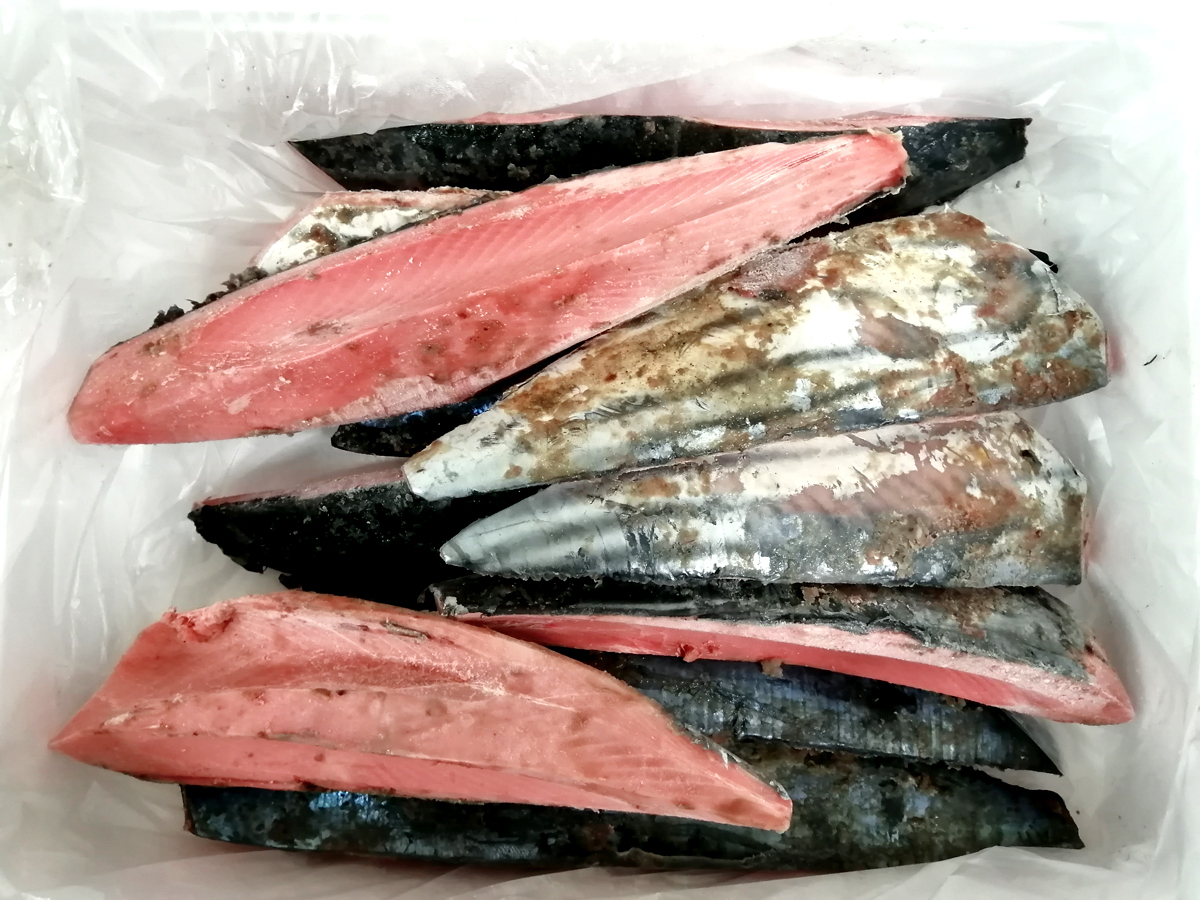 [ быстрое решение ] восток .2.5 сверху 1 шт рыбалка .. и . кожа имеется 3kg примерно 10шт.@. sashimi . суши и . тунец-бонито . и . выбивалка Toro тунец-бонито [ вода производство f-z]