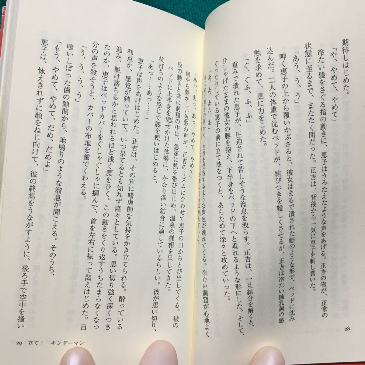 【難有】立て！キンダーマン 実相寺昭雄官能小説シリーズ デカメロン 河崎実 加賀恵子 円谷 ザ・レイプマン 誰もが知ってるウルトラの戦士_画像6