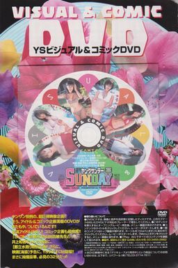 ■新品!★付録DVD【◎井上和香 森下千里 仲根かすみ 佐藤寛子 平田裕香 安倍麻美 都立水商】◇ヤングサンデー 2003■_画像1