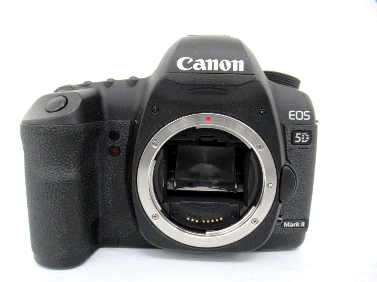 【Canon/キヤノン】亥⑥27//EOS 5D Mark II/デジタル一眼レフ_画像2