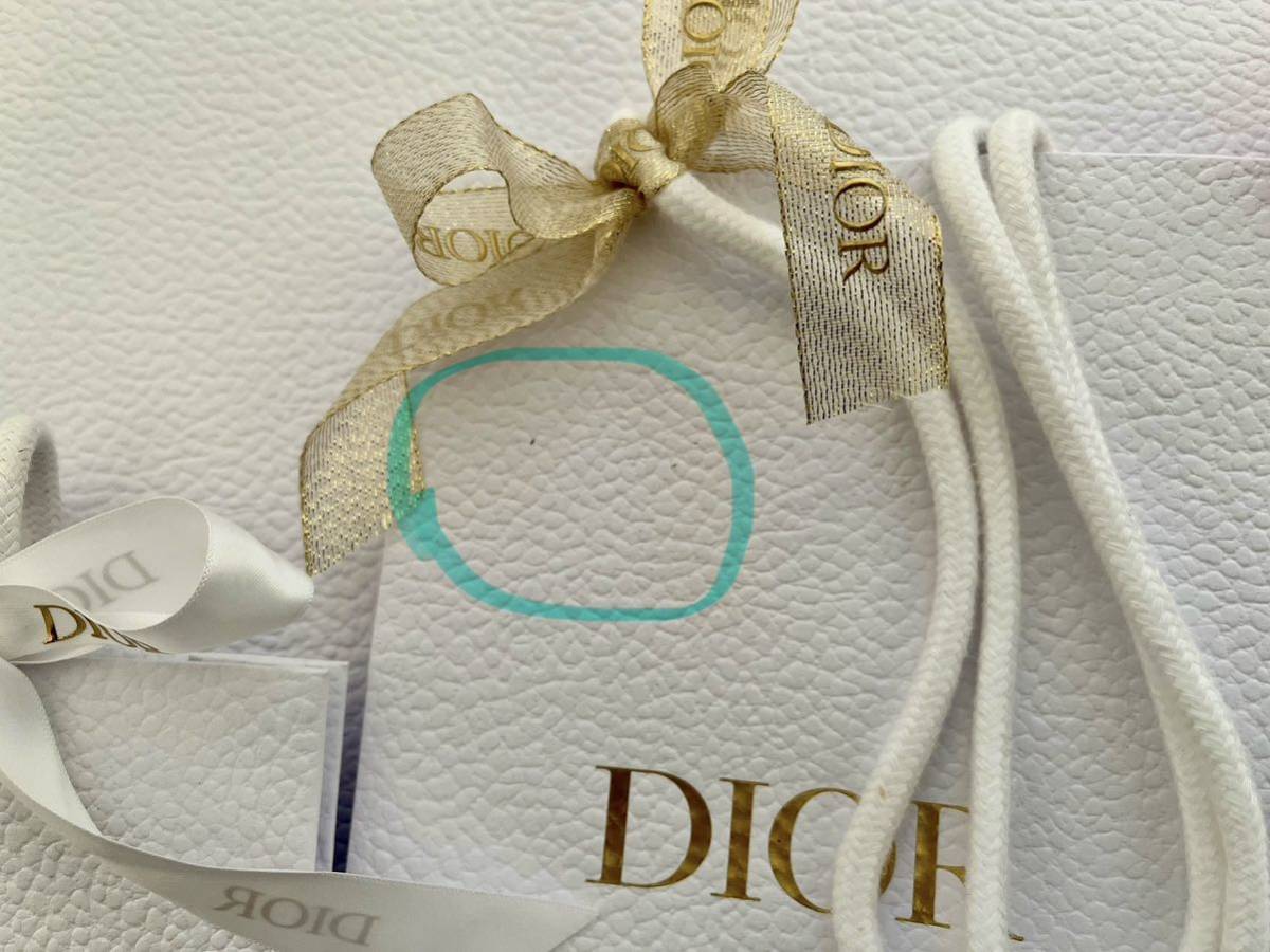 Dior ディオール 全18枚 ショッパー ラッピング 紙袋 ホリデーシーズン限定 Miss Dior DIOR BACKSTAGE リボン付　手提げ袋_画像5