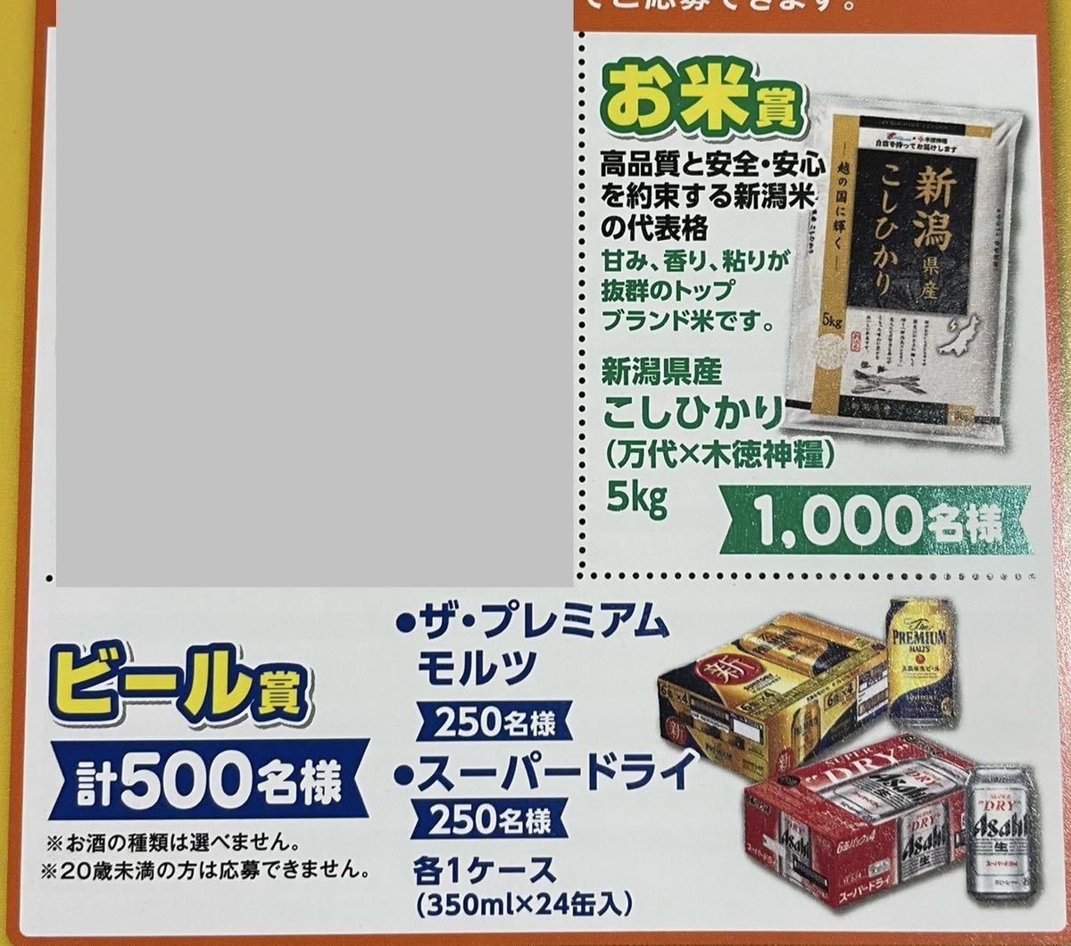  懸賞応募☆新潟産こしひかり5キロ　1000名様/スーパードライ 1ケース(350ml ×24缶) 250名様/ザ　プレミアムモルツ 1ケース250名様_画像1