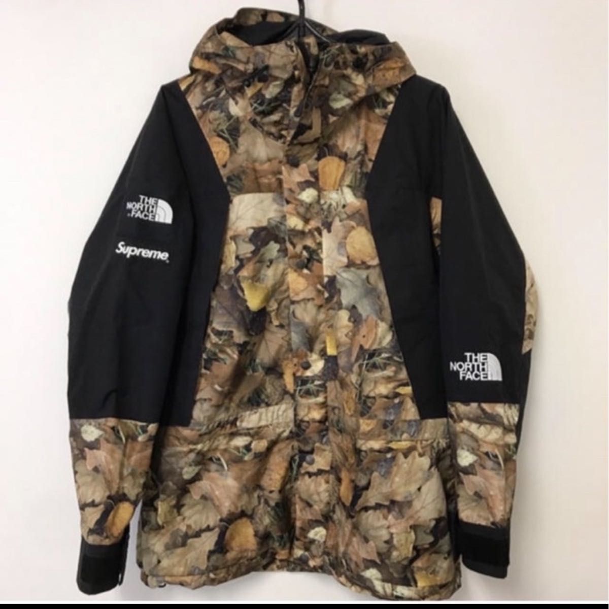 Supreme / The North Face Leaves Mountain Light Jacket Supreme / The North Face Leaves Mountain Light Jacket