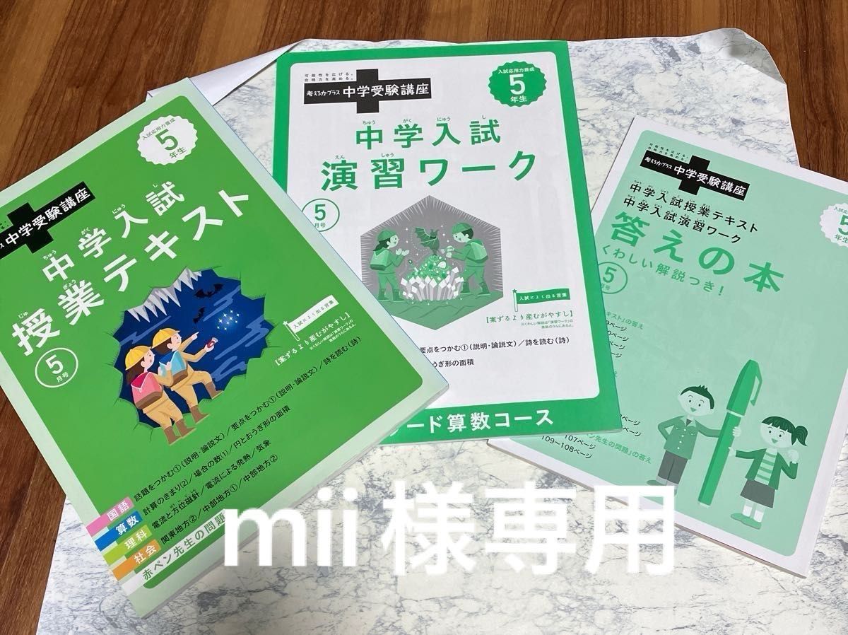 専用)進研ゼミ 中学受験講座 中学入試 演習ワーク 答えのセット 専用)進研ゼミ 中学受験講座 中学入試 演習ワーク 答えのセット