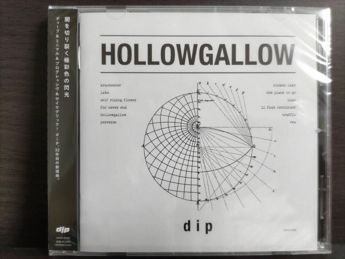 dip『HOLLOWGALLOW』DIP THE FLAG ヤマジカズヒデ_画像1