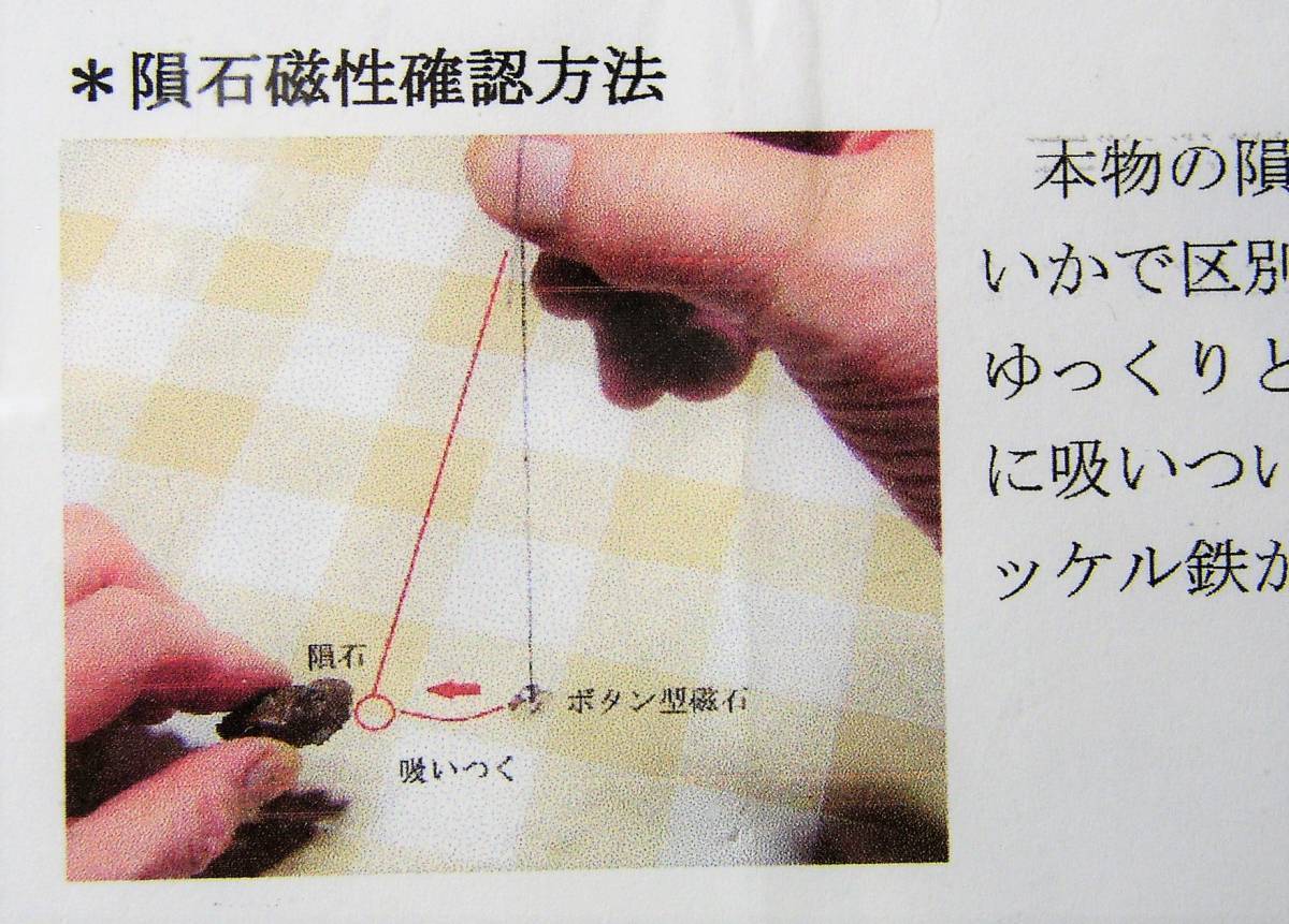 石質隕石　コンドライト　ボタン型磁石＋説明付（Ｂ）_画像4