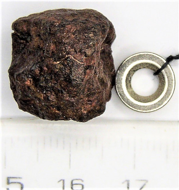 石質隕石　コンドライト　ボタン型磁石＋説明付（Ｂ）_画像1
