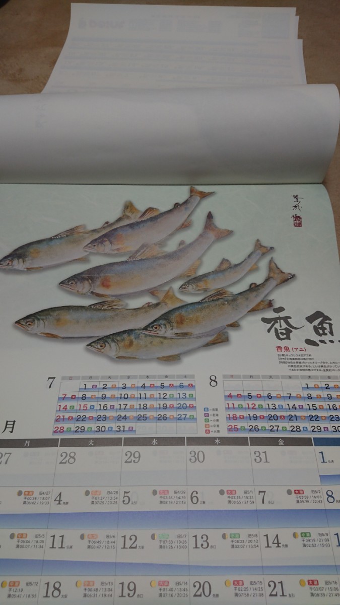 魚拓カレンダー 2024 魚拓暦 釣具店名記載_画像5