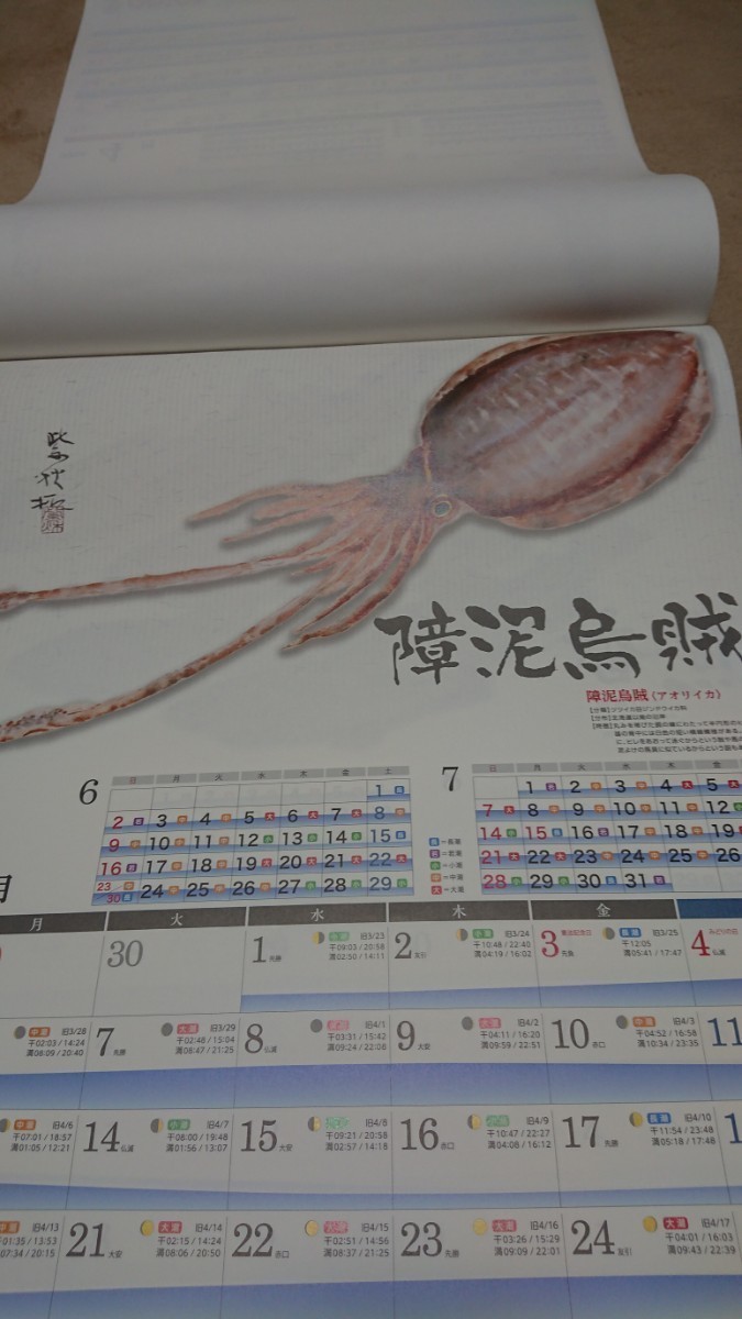 魚拓カレンダー「 魚拓暦」 有名 釣具店 2024 _画像4