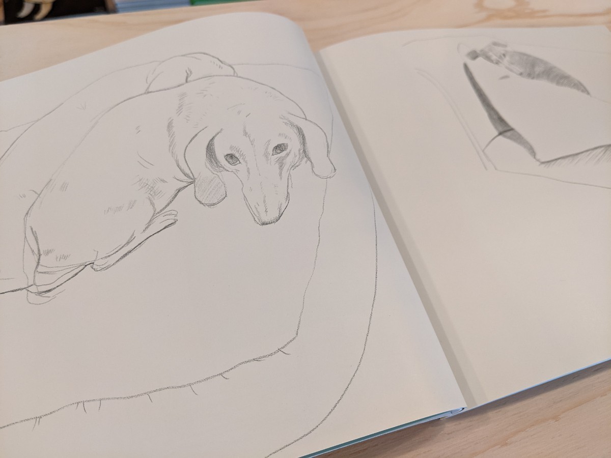 【洋書】【新品】David Hockney Dog Days / デイヴィッド・ホックニー 犬 画集 ダックスフンド_画像8