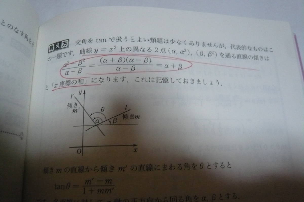 東大数学で1点でも多く取る方法 理系編 第4版 安田亨_画像5