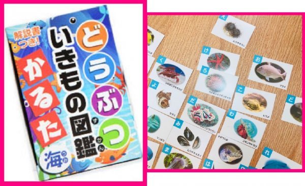 【送料無料:選べる:かるた/カルタ:3点・3個】★恐竜・昆虫・百人一首 ・動物・海の生き物・いろは★解説書付:解説あり:知育玩具:脳を活性化_画像5