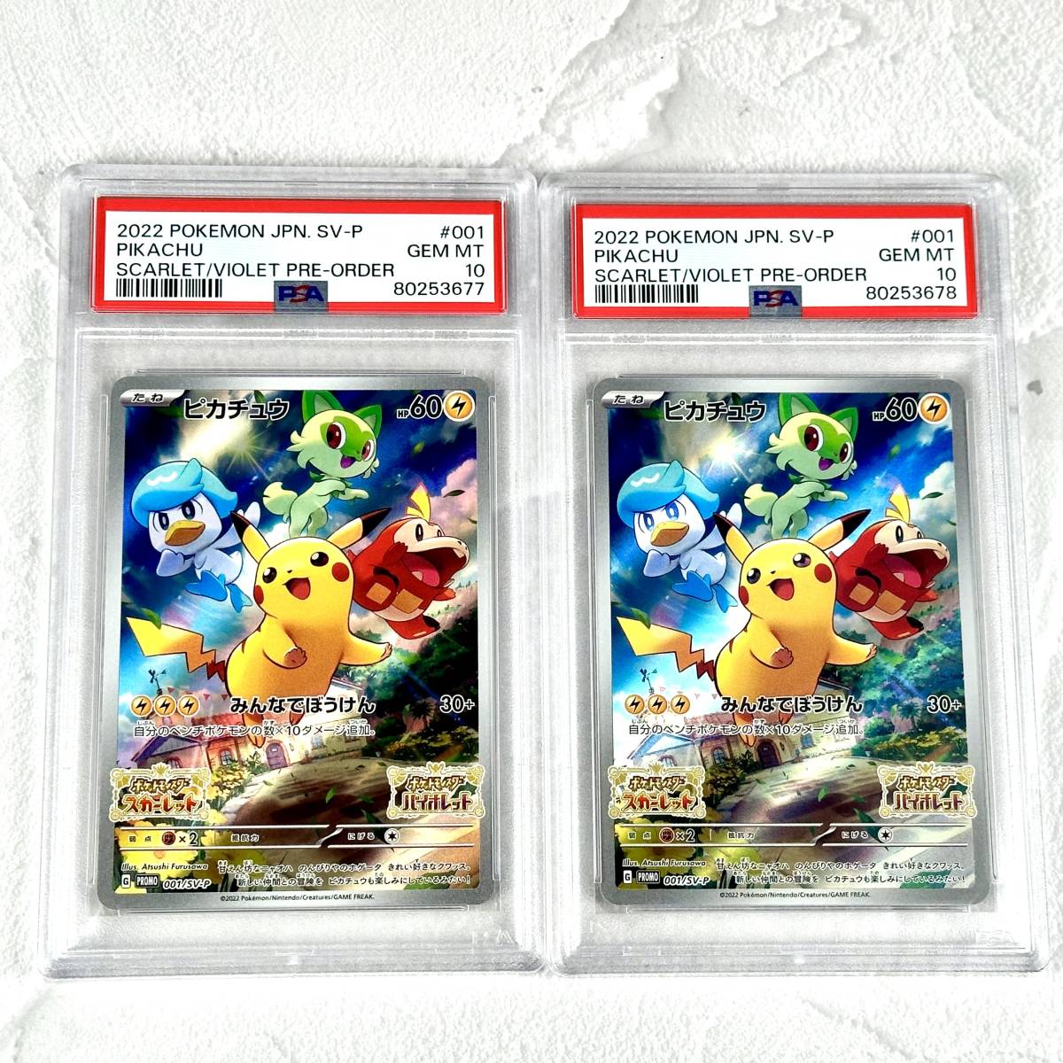 現金特価】 ピカチュウ PSA10 プロモ Promo Pikachu Card Pokemon