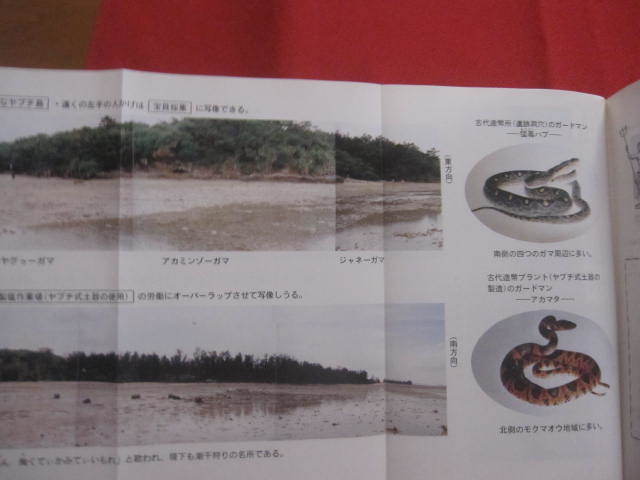 item_image_8