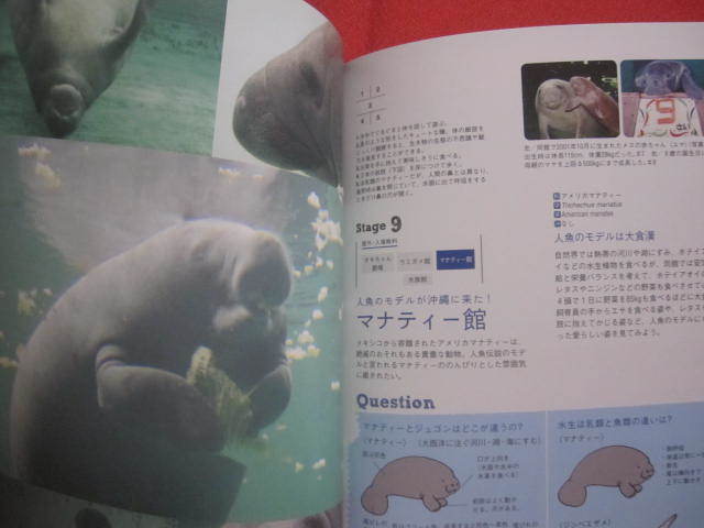 *. hoe . guidebook all. Okinawa beautiful . sea aquarium god .. sea .,...-.! wonderful sea. company . fully! [. lamp * living thing ]