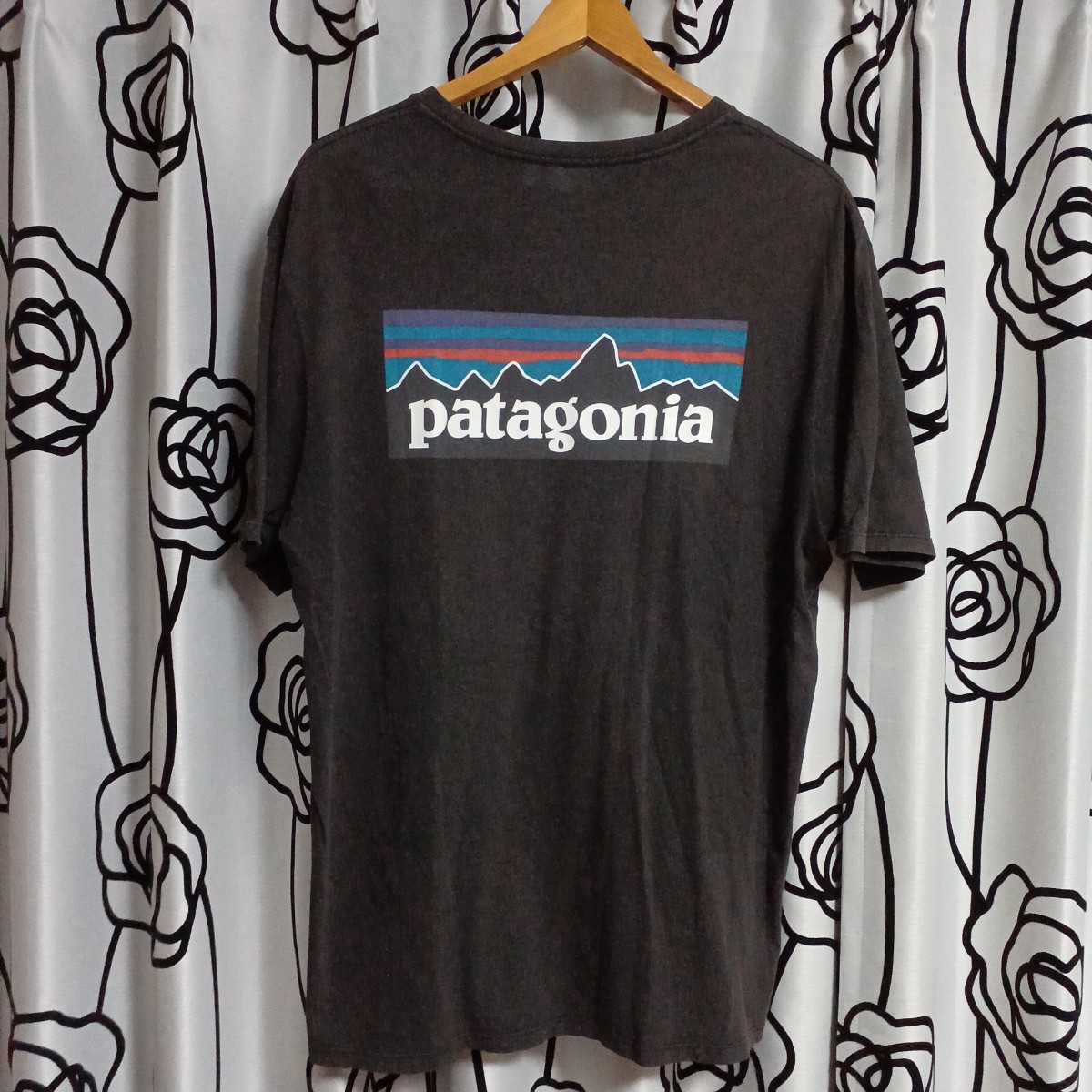 パタゴニア　半袖Tシャツ patagonia ロゴ