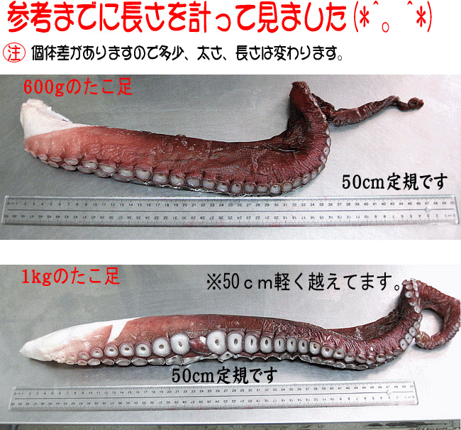 ..... пара 1 шт. { большой }600g oo dako( Hokkaido производство sashimi осьминог - вода ..) гигантский осьминог . внутри вода dako вода .[ бесплатная доставка ]