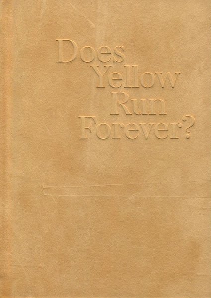 アート写真 d) Paul Graham: Does Yellow Run Forever?