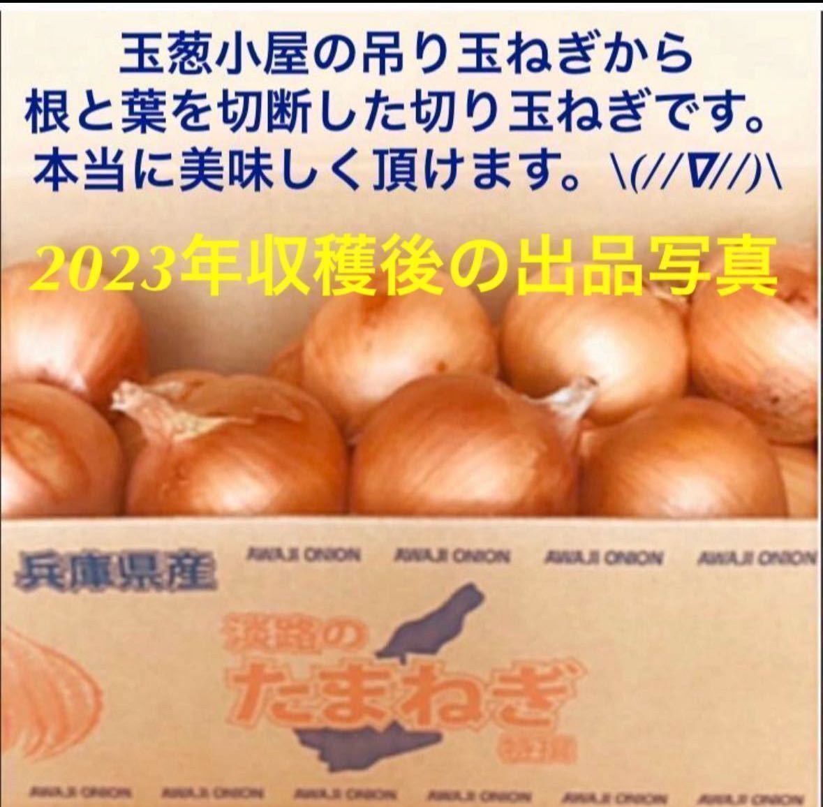 ＜最終特別価格＞淡路島産 玉ねぎ苗 400本 たまねぎ苗 玉葱苗 タマネギ苗 淡路島 農家直送 家庭菜園_画像9