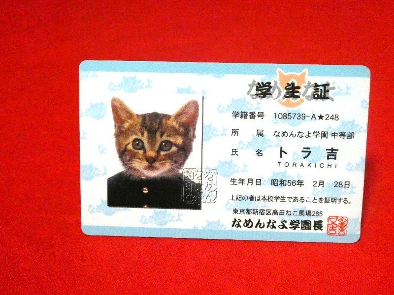 なめ猫　なめねこ　TradingCard　カードトレカ　パロディカード　学生証トラ吉_画像1