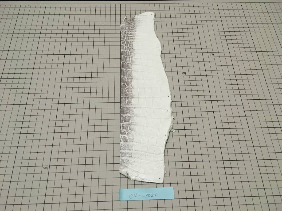 CR3-1026A★ヒマラヤ背ワニマット自然仕上げ最高級ナイルクロコダイル★レザークラフトはぎれハギレワイルドバイカーズウォレットケース_画像1