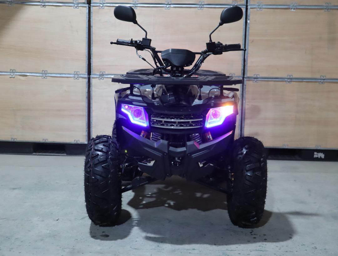 RED ZONE ATV BIGバギー　ＲＺ－G-ZERO　限定1機　GT５０cc　ミニカー登録対象車体　オイルクーラー、ヒッチメンバー装備　　新車_画像3