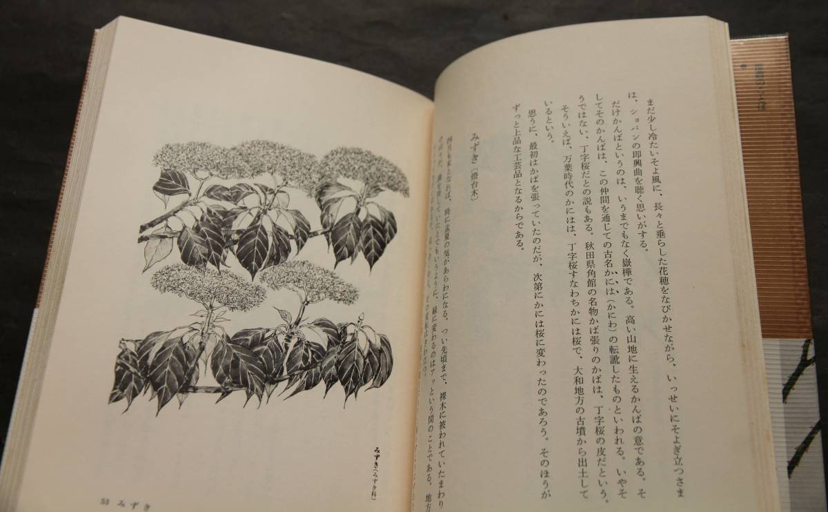草木図誌　鶴田知也著　かたくり、やまぶき、ほととぎす、ななかまど、など身近の植物74種のスケツチとエッセイ