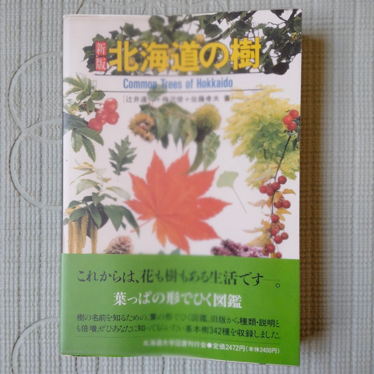 新版北海道の樹　北海道大学図書刊行会