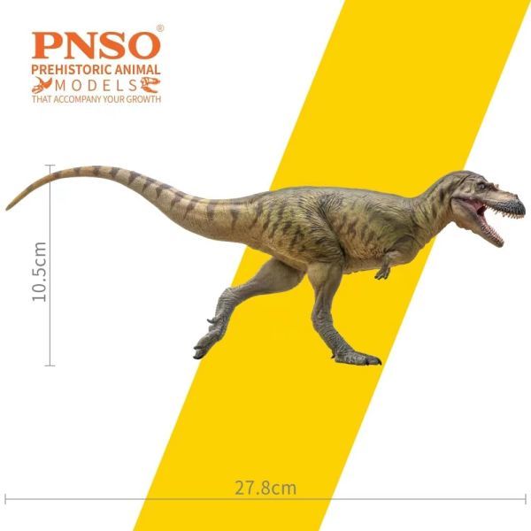 PNSO 72 アルバートサウルス フィギュア ティラノサウルス科 白亜紀 28cm級 口開閉可能 肉食 恐竜 おもちゃ 模型 恐竜好き プレゼント_画像3