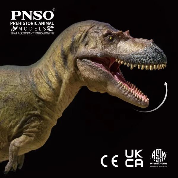 PNSO 72 アルバートサウルス フィギュア ティラノサウルス科 白亜紀 28cm級 口開閉可能 肉食 恐竜 おもちゃ 模型 恐竜好き プレゼント_画像1