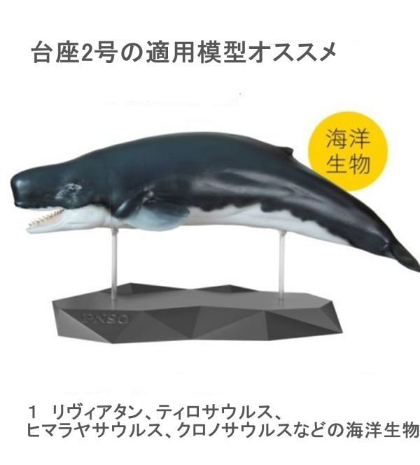 PNSO モササウルス ティラノサウルス 恐竜 動物 フィギュア 模型 展示用 通常台座 スタンド 透明ホルダー コレクション 小物_画像8