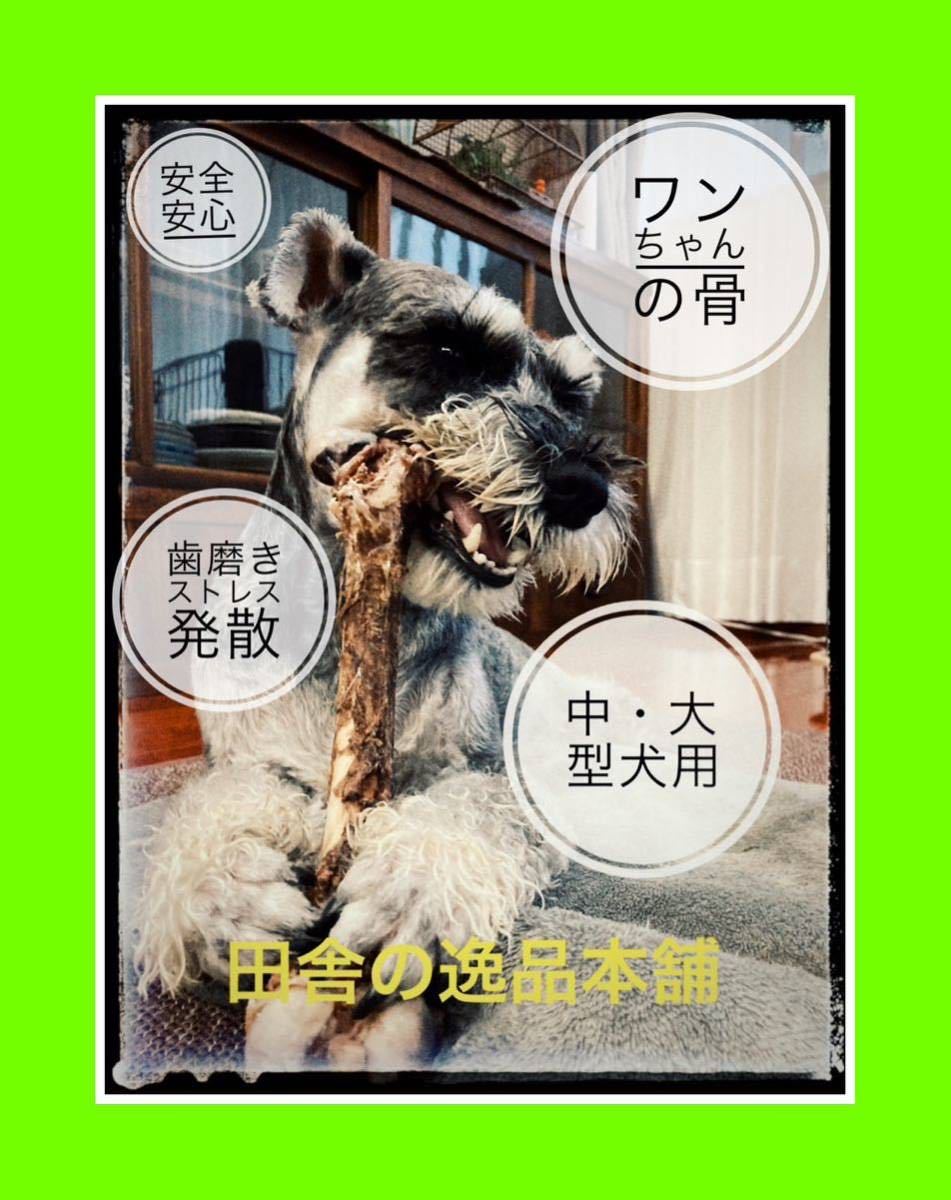 * средний собака ~ для больших собак * олень. .*.. . набор 7480 иен комплект 1400g и больше 