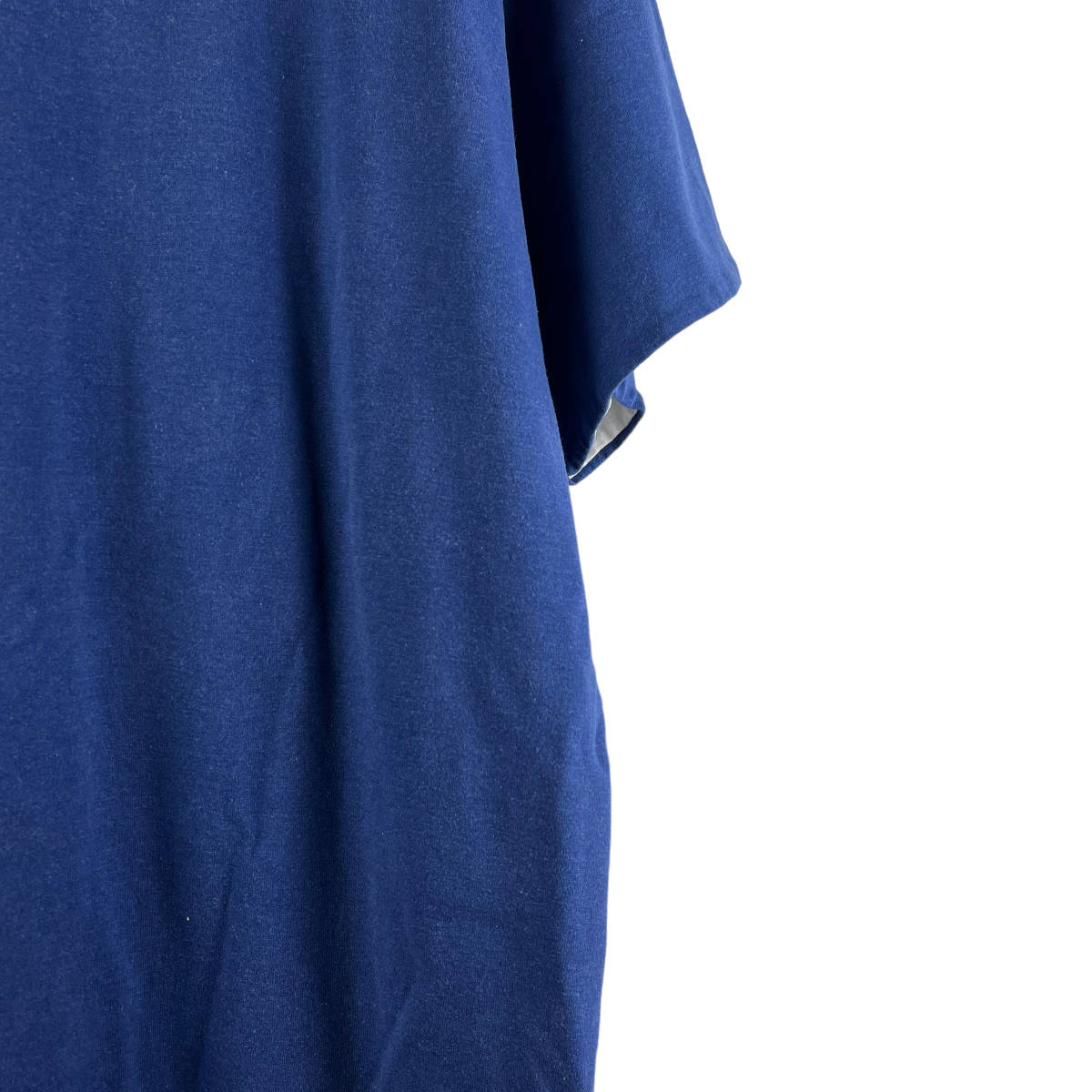 Champion(チャンピオン) OCONNELL Shortsleeve T Shirt (blue)