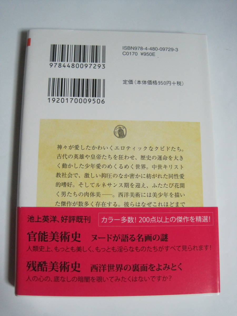 [ちくま学芸文庫] 美少年美術史 禁じられた欲望の歴史 池上英洋 川口清香 2016年発行 定価950円＋税の画像2