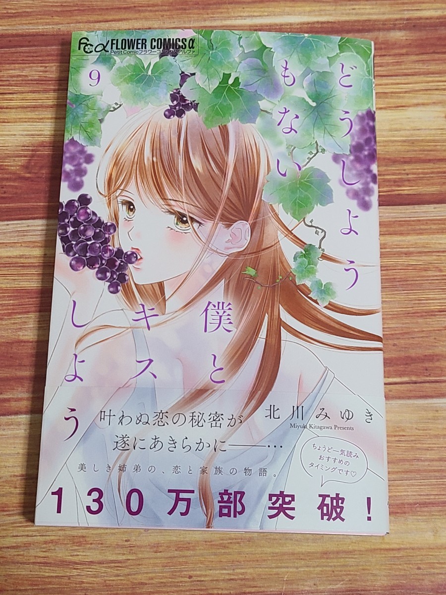 12月最新刊* どうしようもない僕とキスしよう 9巻 北川みゆき_画像1