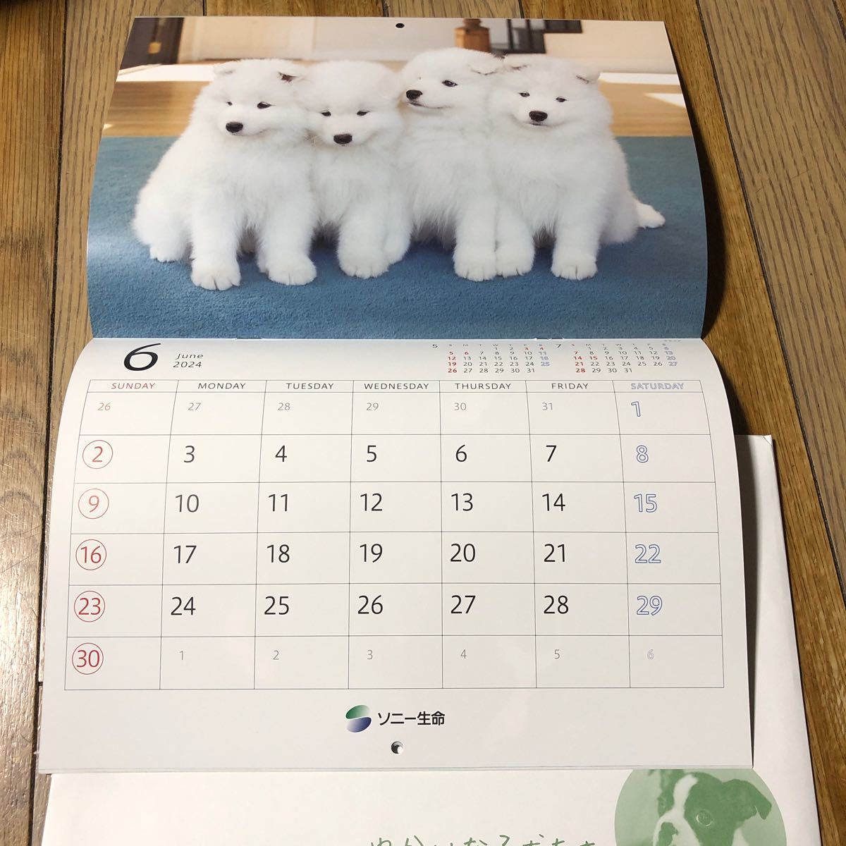 2024年 非売新品 壁掛けカレンダー 「ゆかいな子犬たち」送料無料！！_画像2